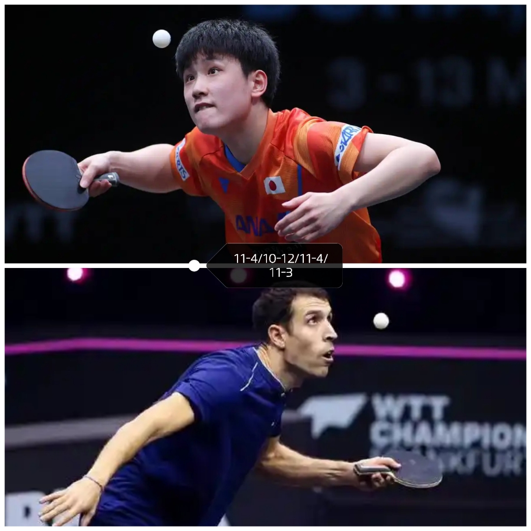 葡萄牙队轻取日本队，张本智和统治全场的简单介绍