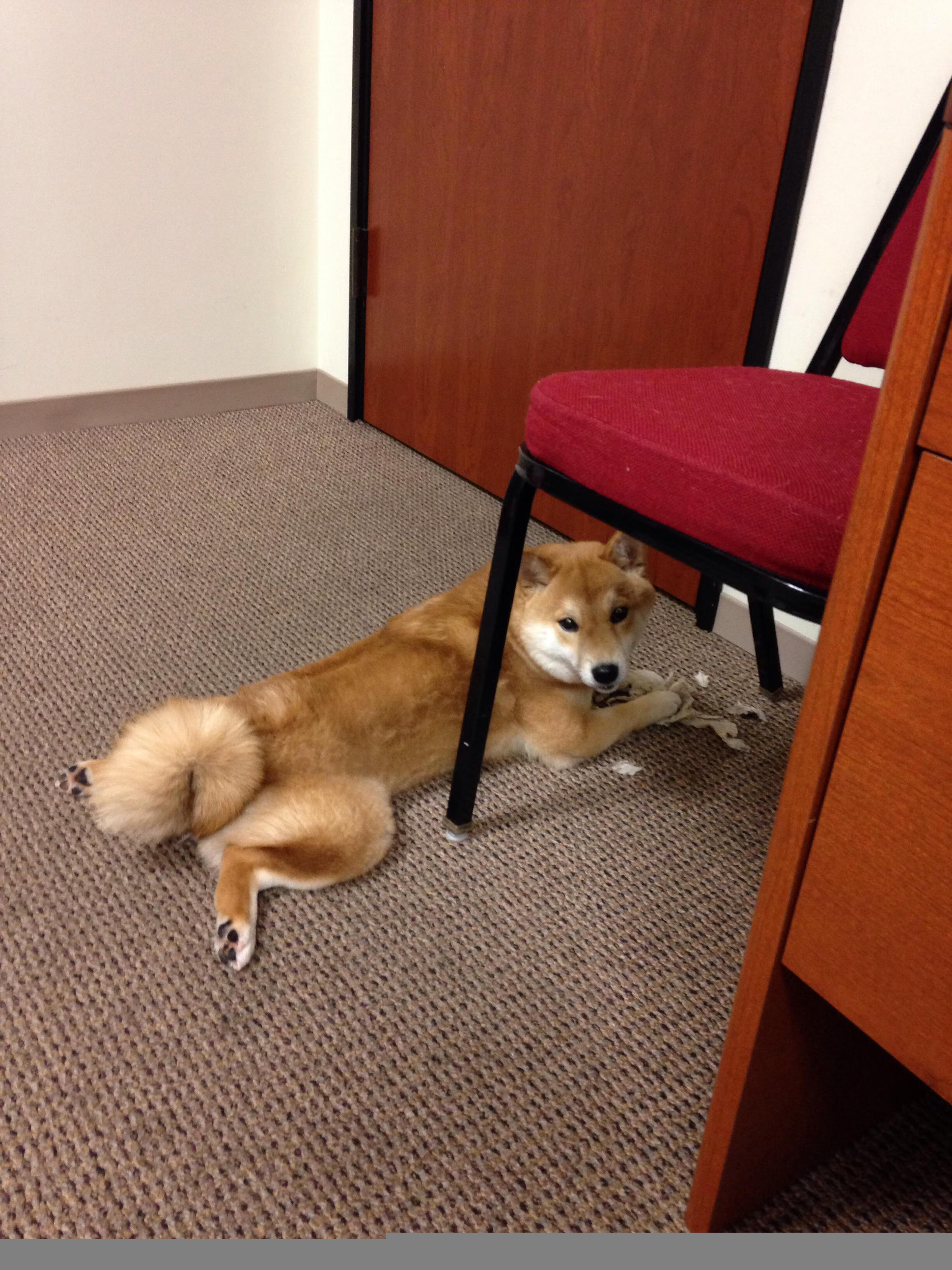 跨越时空的制胜一投，当广东宏远在元宇宙遇上杜兰特