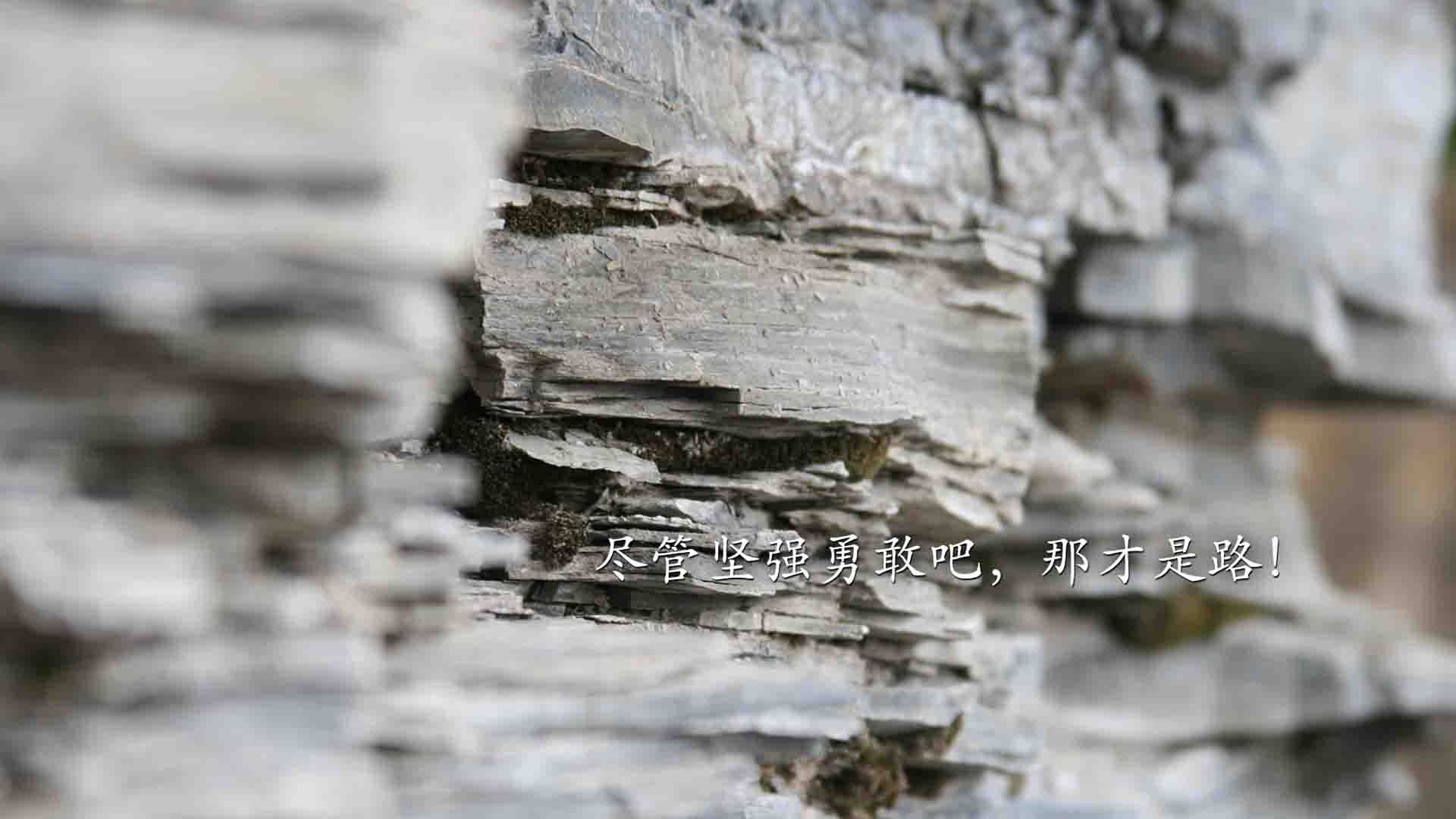 金戈铁马战车鸣，南大王加时破坚冰—拜仁鏖战逆转阿森纳，欧冠级对决点燃德甲争冠烽火