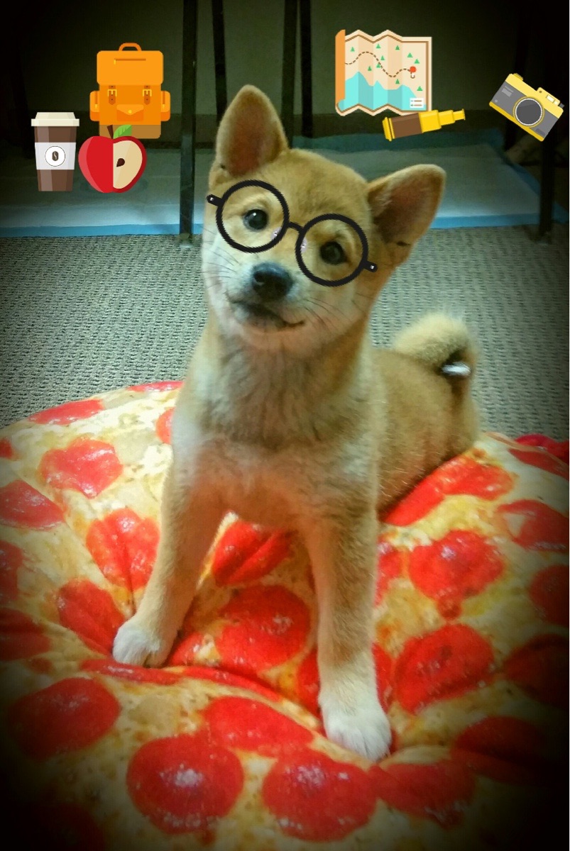 战火洗礼的赛场，唯一见证德罗赞如何撕裂费城的喧哗