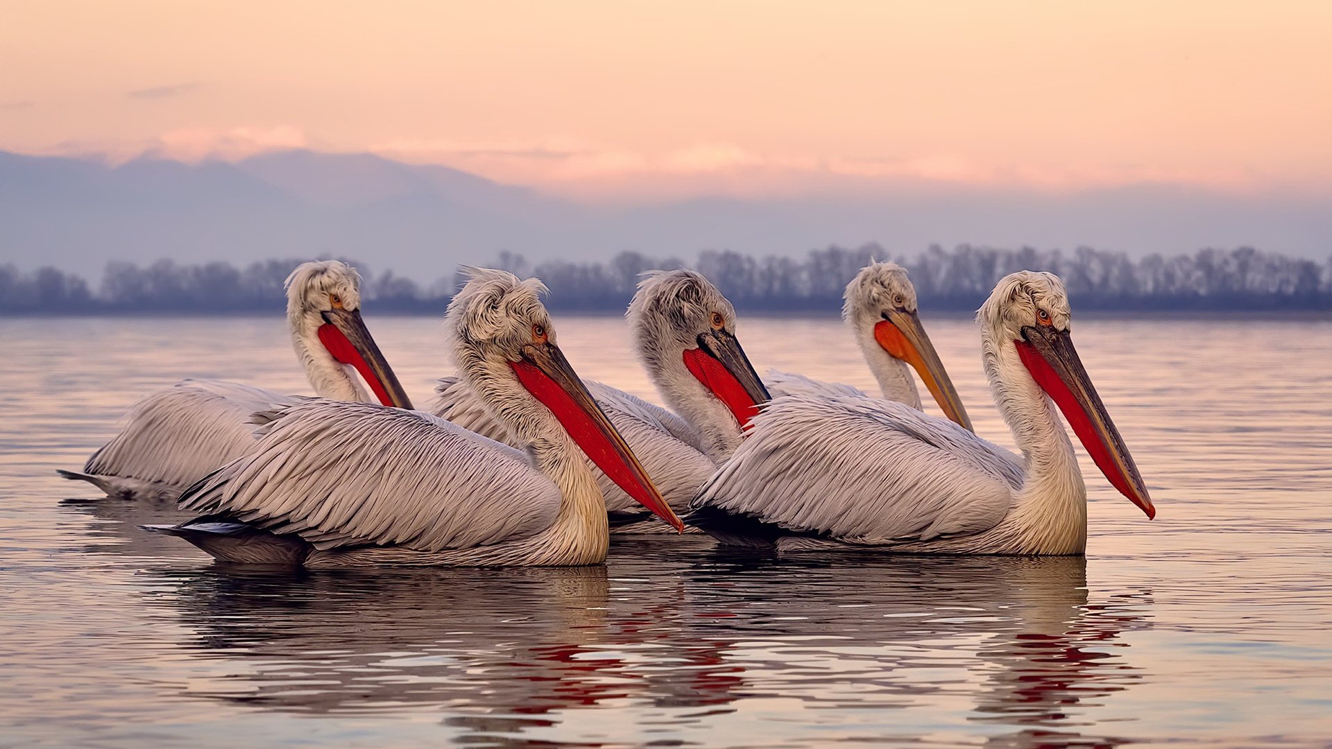 连续得分风暴，英格拉姆用个人能力为比赛盖上棺椁