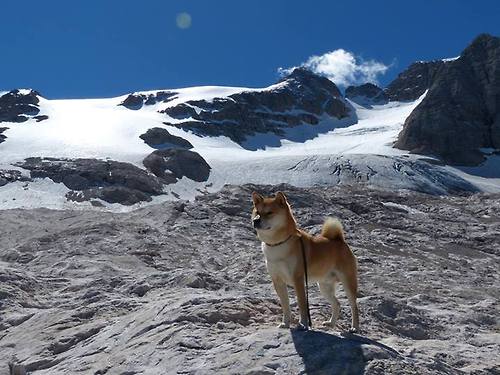 决堤的第三节,魔术单节轰下45分,如何冲垮火箭防线?
