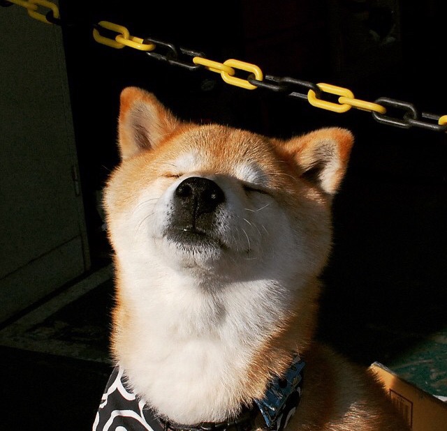 命运终场哨,当逆转绝杀成为马克西的封神宣言