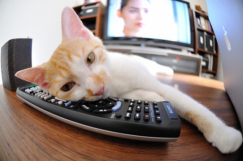 铁蹄踏碎费城！布克一剑封喉，步行者正面碾碎76人华丽假象