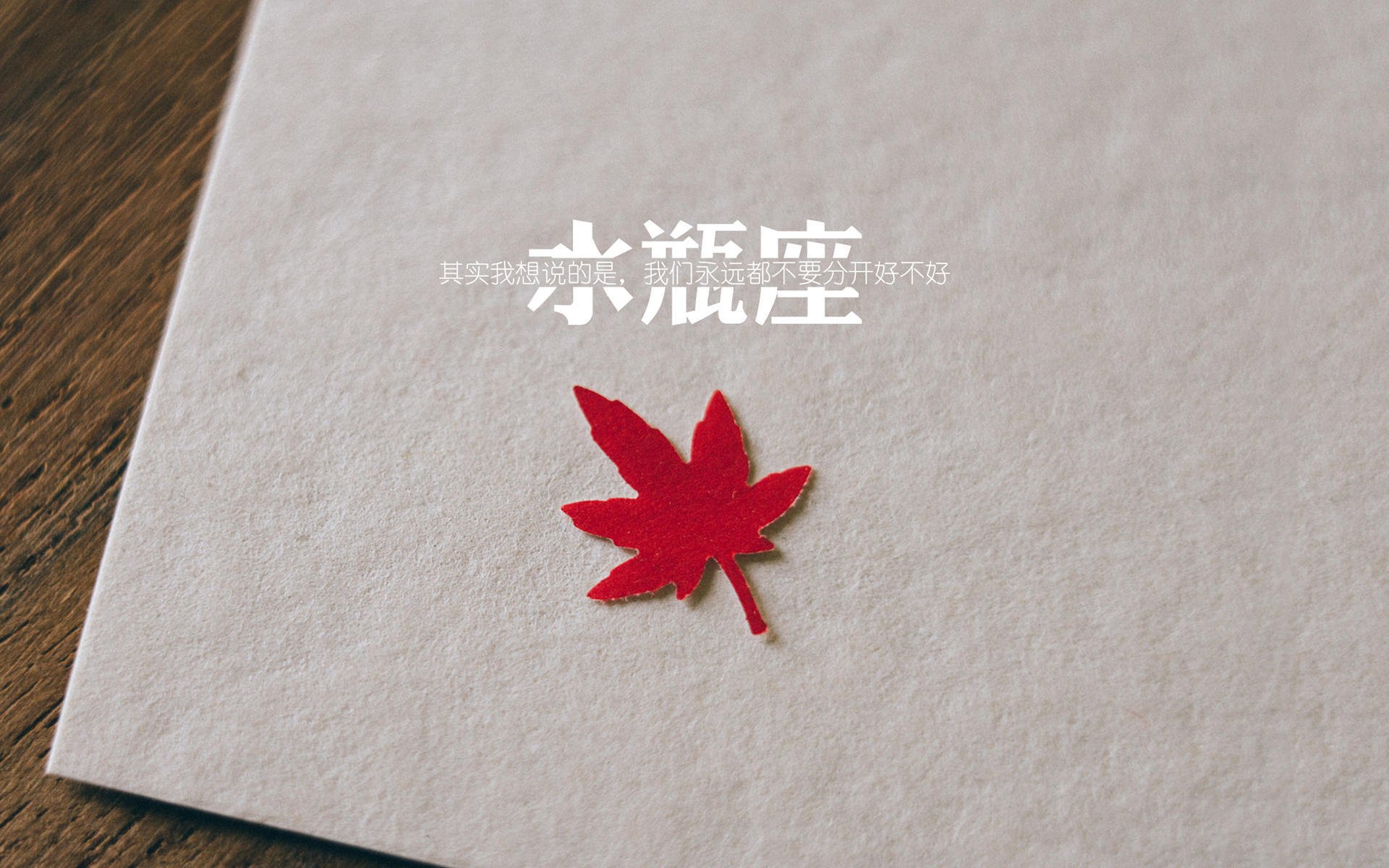 新星耀世！布克夺命一击压哨制胜，猛龙掀翻勇士王朝余晖