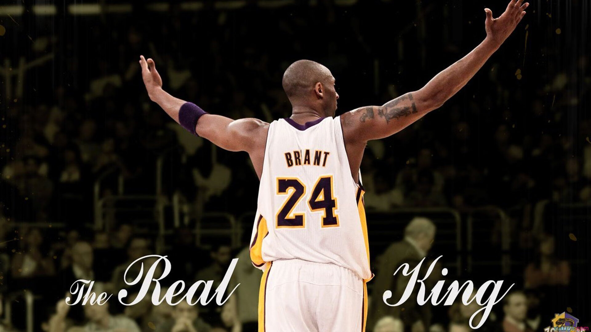 丝绸之路上的篮球传奇，新疆导师如何用天山雪水酿就掘金抢七奇迹