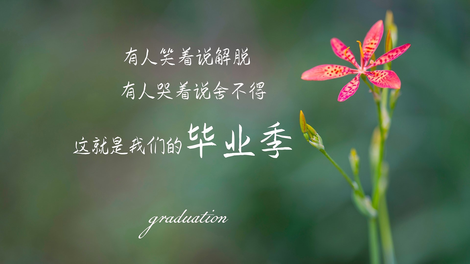 新时代定义者，当约维奇与格列兹曼同时按下命运暂停键