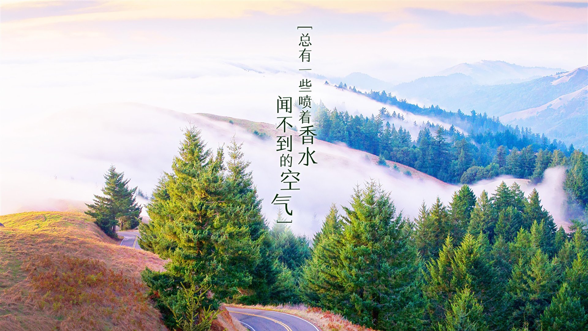 黄绿洪流淹没Azteca，费利克斯幻影舞步，巴西在H组强强对话中蹂躏墨西哥