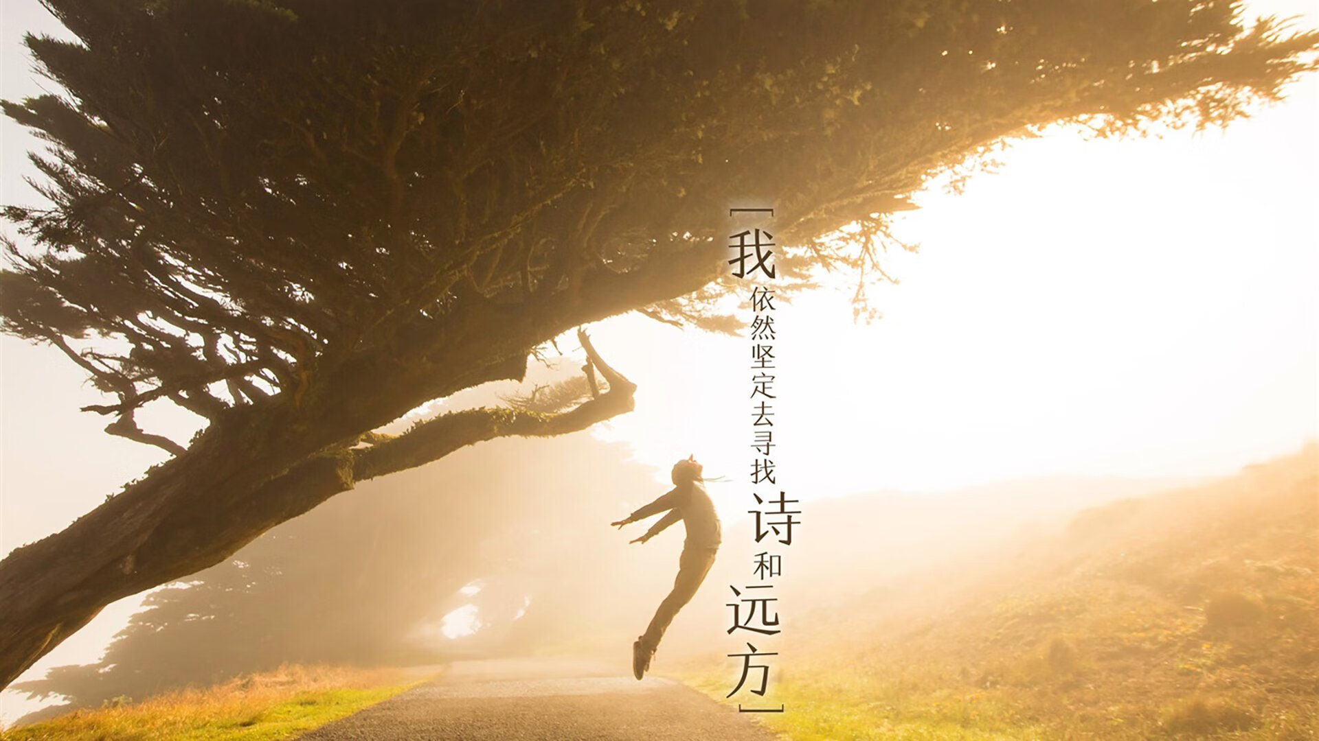 铁壁与利刃,2026世界杯H组,当墨西哥的铜墙铁壁击碎桑巴幻想,拉什福德用一场教科书式胜利加冕